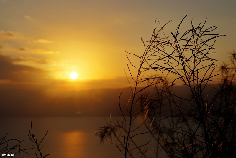 לקום לזריחה