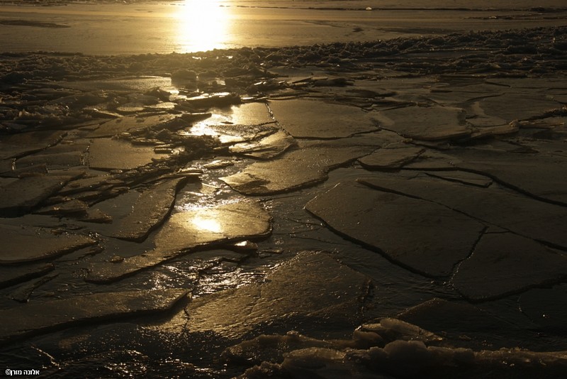 צילום: אלונה מורן