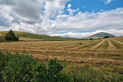 האביב כבר כאן 