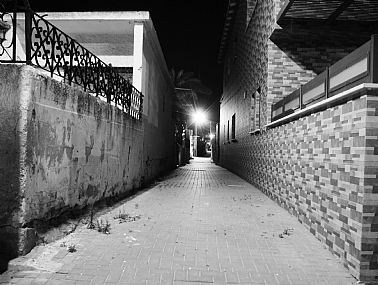 צילום: אופיר ביננבוים