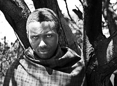 פורטרט ב-ש/ל /14