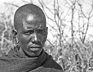 פורטרט ב-ש/ל /15