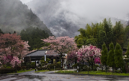 צילום: יוסי פרקש