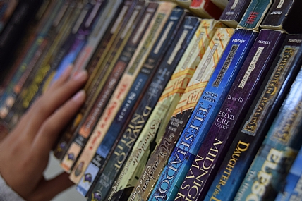 צילום: Hadar Nachum