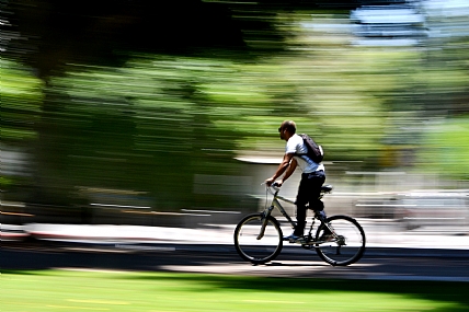 צילום: Hadar Nachum