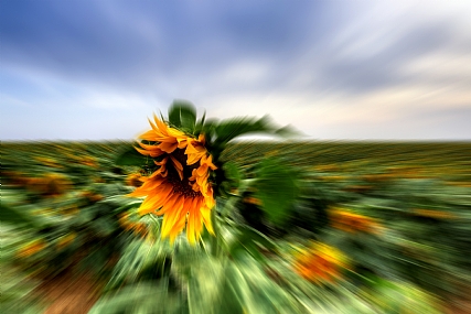 צילום: אורן ולדמן