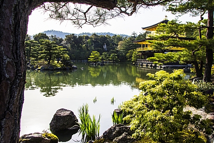 צילום: יוסי פרקש