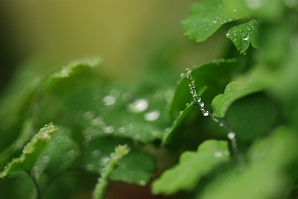 צילום: שחר יונגרמן