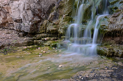 ד"ש מגן הוורדים בבירה