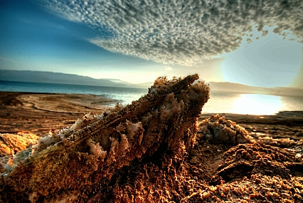 צילום: נירה צדוק