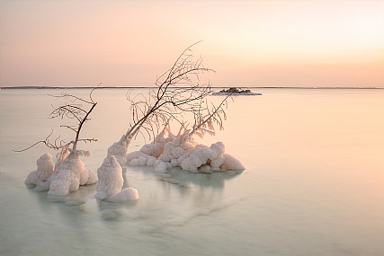 צילום: אורן ולדמן