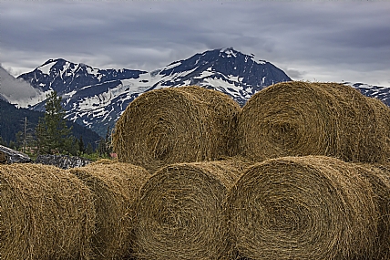 שלגים וגלגלים