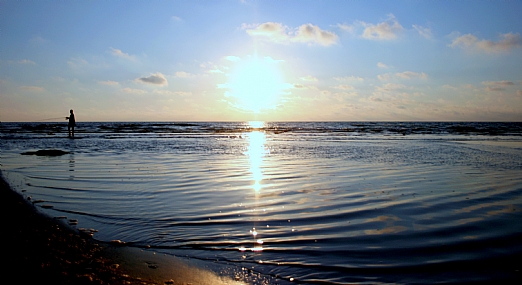 צילום: ליבי רויזן