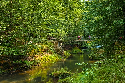 שווייץ הצ'כית 