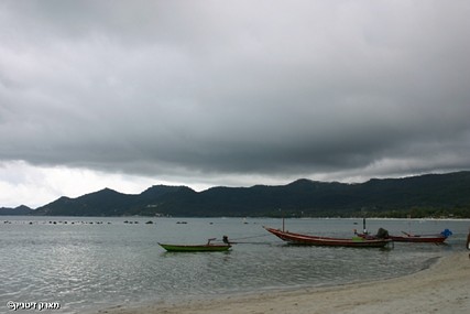 צילום: מארק זיטניק