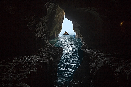 לצאת אל האור