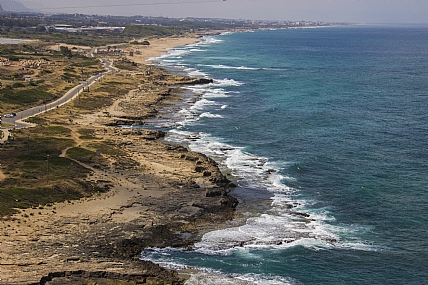 לאורך החוף