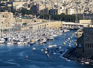 ים של תרנים