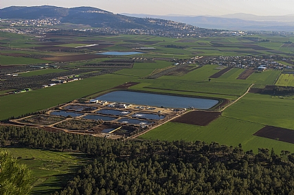 מנופי ארצנו