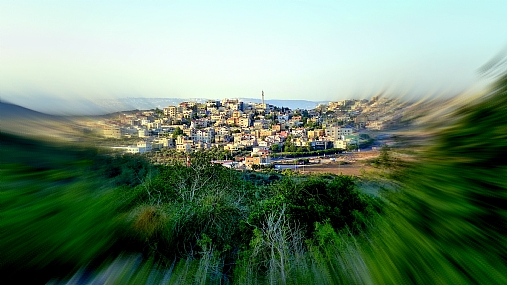 צילום: מוטי שני