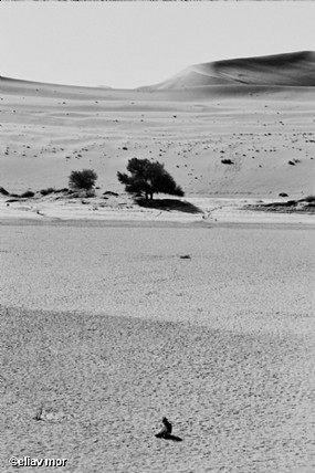 ללכת לאיבוד....