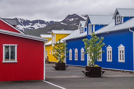 מוסיפים צבע לחיים