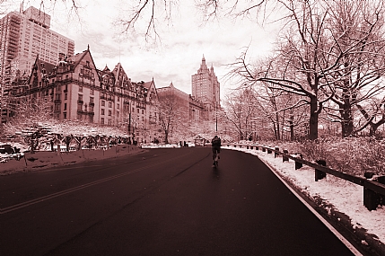 שלג בניו יורק