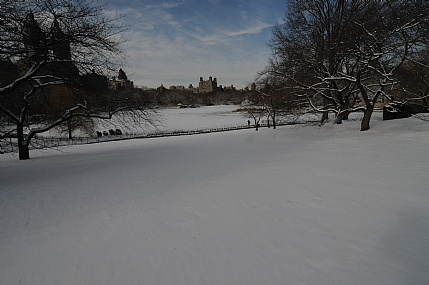 ישימון ניו יורק