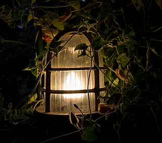 צילום: נורה טרסיק