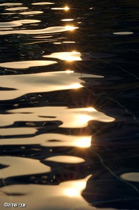 כוכבים על פני המים