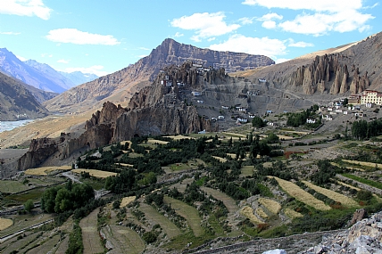 חקלאות טרסות ב-לאדאק