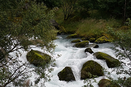 צילום: מרינה חטוצקי