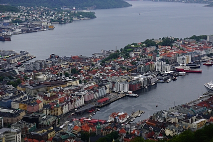 צילום: מרינה חטוצקי