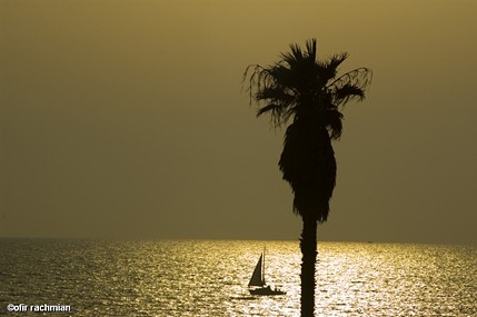 צלליות בשקיעה