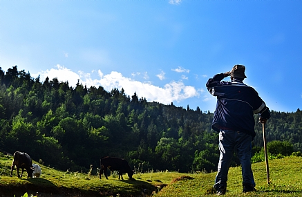 בחיפוש אחר נתיב בטוח