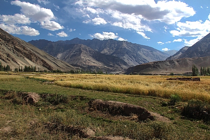 עת הקציר הגיעה
