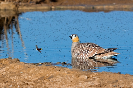 מה הסיפור שלך?