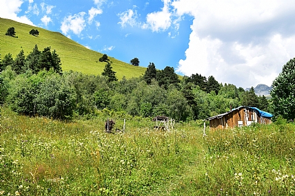 יש מישהו בבית?
