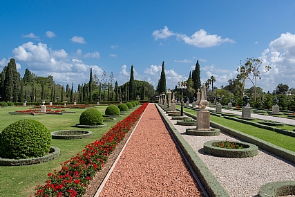 מקבילית הצמחים
