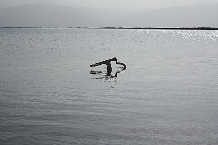 צילום: אריה ניב