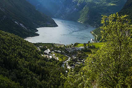מאחורי העצים