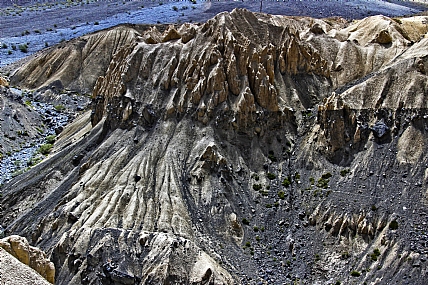 צורות וצבעים בטבע