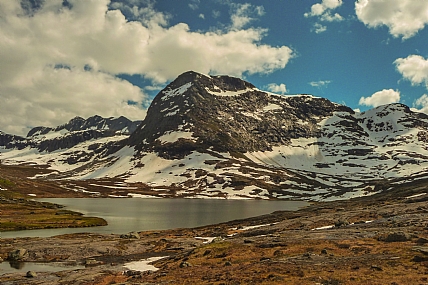 חום, לבן, כחול