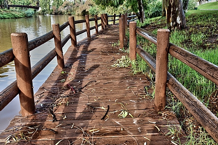 על גדות הירקון