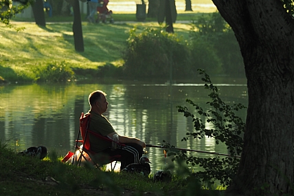 צילום: דוקטור רפאל שפרינגמן