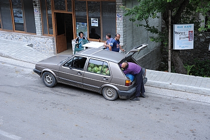 צילום: רוני ברונפלד