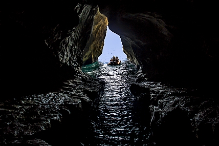 הדרך אל האור