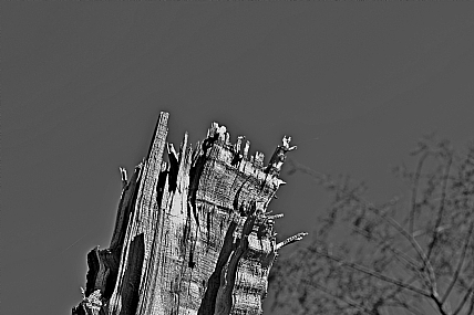 חומות וצריחים