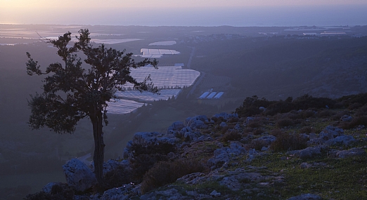 שקיעה באובך