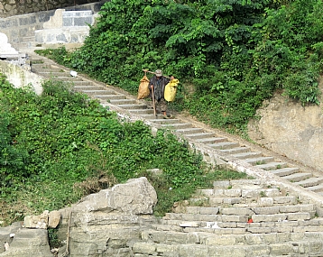 תחת כובד המשא